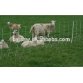 Field Fence/Cattle Fence With Post